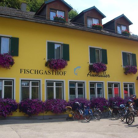 Fischgasthof Aumuller Hotel Obermuhl Esterno foto